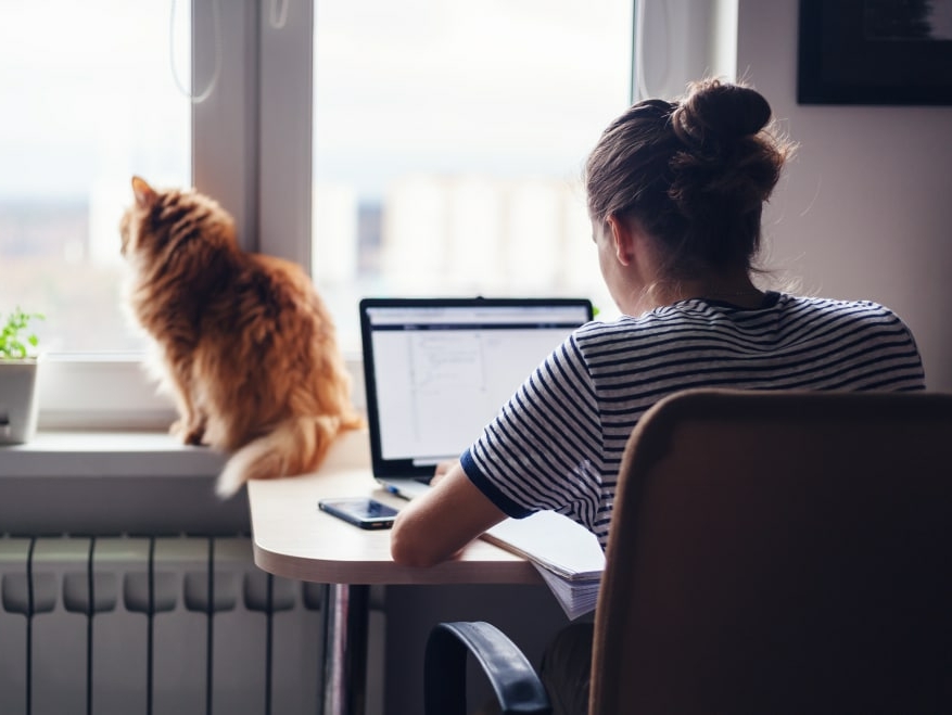 Work wherever you want in 2023