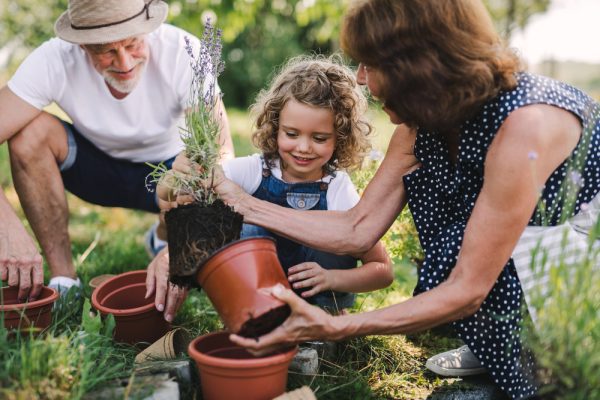 Change in sight for access between grandparents and grandchildren?