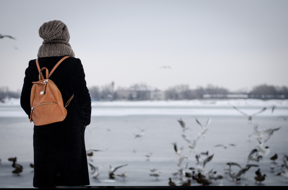 I have been disinherited. What am I entitled to?